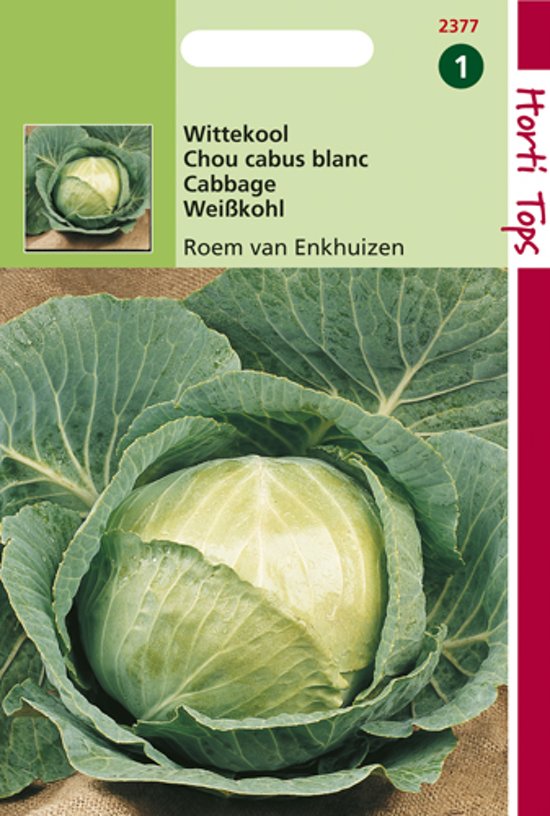 Witte kool Roem van Enkhuizen (Brassica) 425 zaden